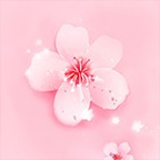 桃花社区www在线app