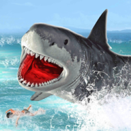鲨鱼的疯狂吞噬  V1.0