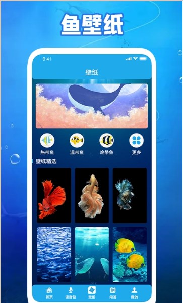 养鱼小高手软件安卓免费版下载-养鱼小高手安卓高级版下载