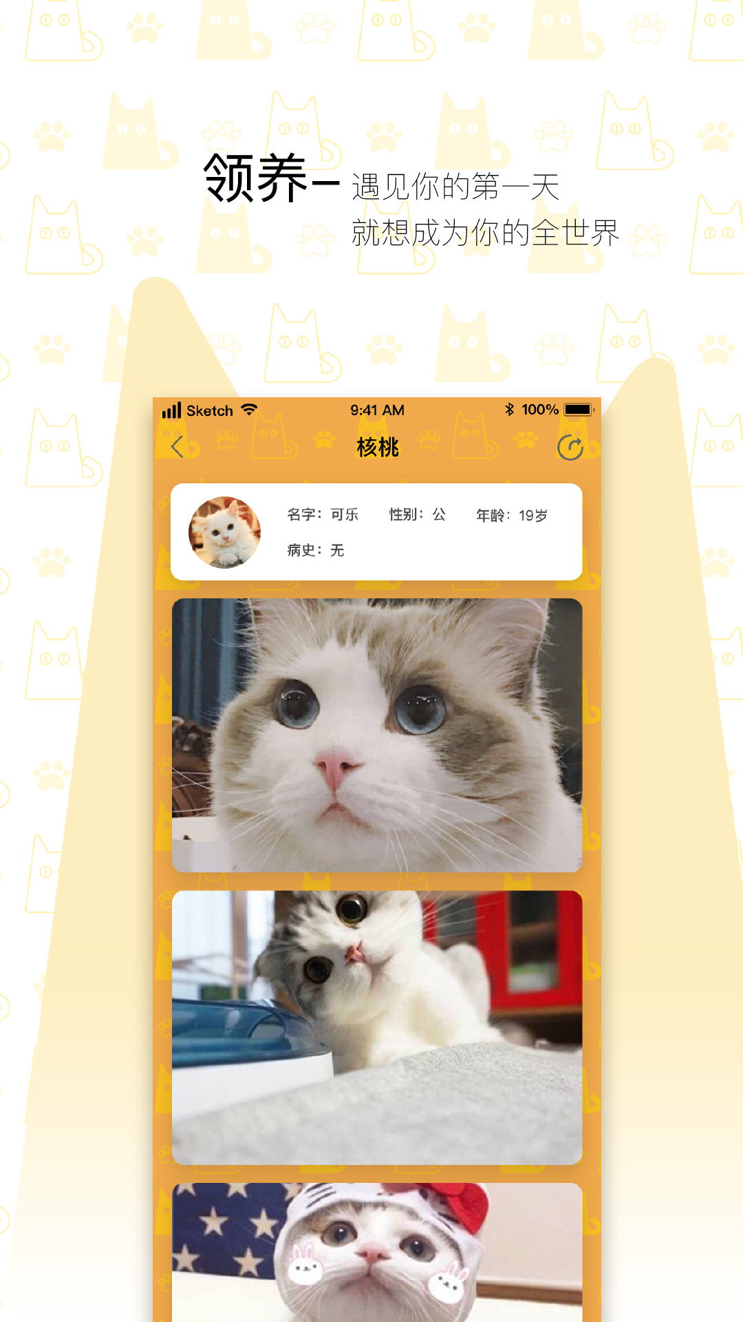 我要猫app-我要猫app安卓版v2.4.1