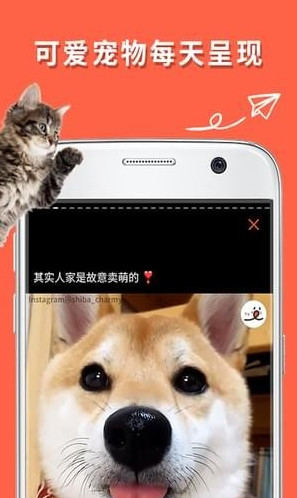 朋宠PECO安卓版app官方2022下载-朋宠PECO安卓版官方最新版下载v1.0