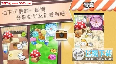 仓鼠的日常修改版最新版手游下载-仓鼠的日常修改版免费中文手游下载