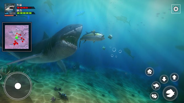 饥饿鲨鱼求生手机版手游下载-饥饿鲨鱼求生手机版游戏免费下载v1.0