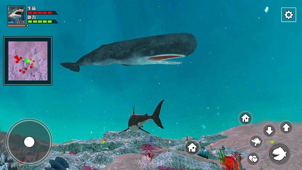 饥饿鲨鱼求生手机版手游下载-饥饿鲨鱼求生手机版游戏免费下载v1.0